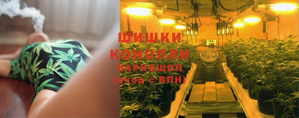 бошки Алзамай