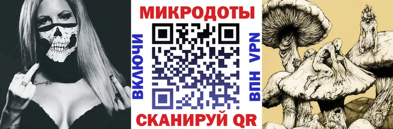 Галлюциногенные грибы Psilocybe Невьянск